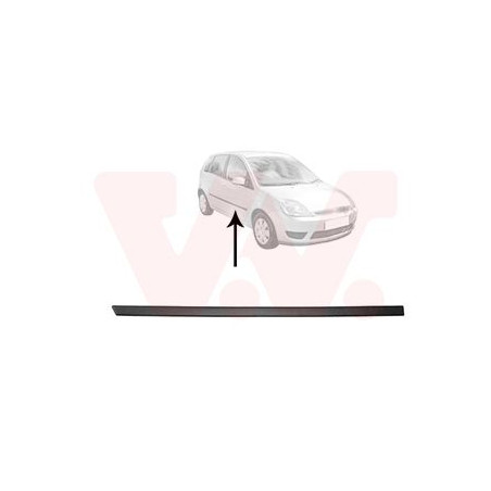 Moulure porte avant droite (pour véhicule 4-5 portes)