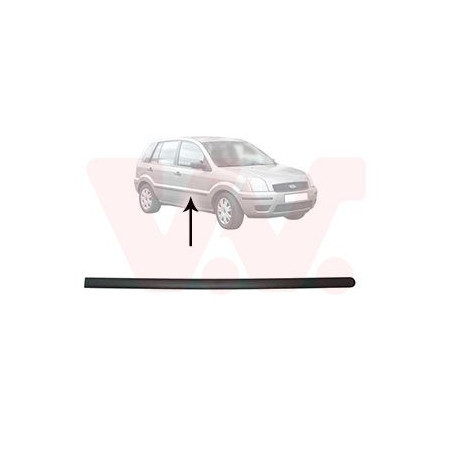 Moulure porte avant droite (pour véhicule 4-5 portes)