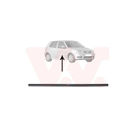 Moulure porte avant droite (pour véhicule 4-5 portes)