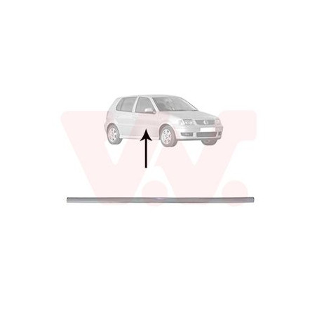 Moulure porte avant droite (pour véhicule 4-5 portes)