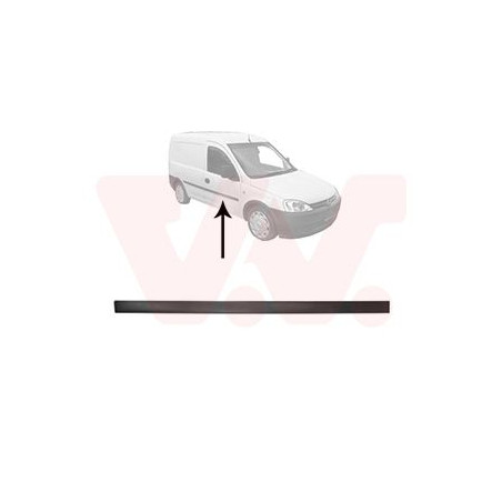 Moulure porte avant droite (pour véhicule 4-5 portes)