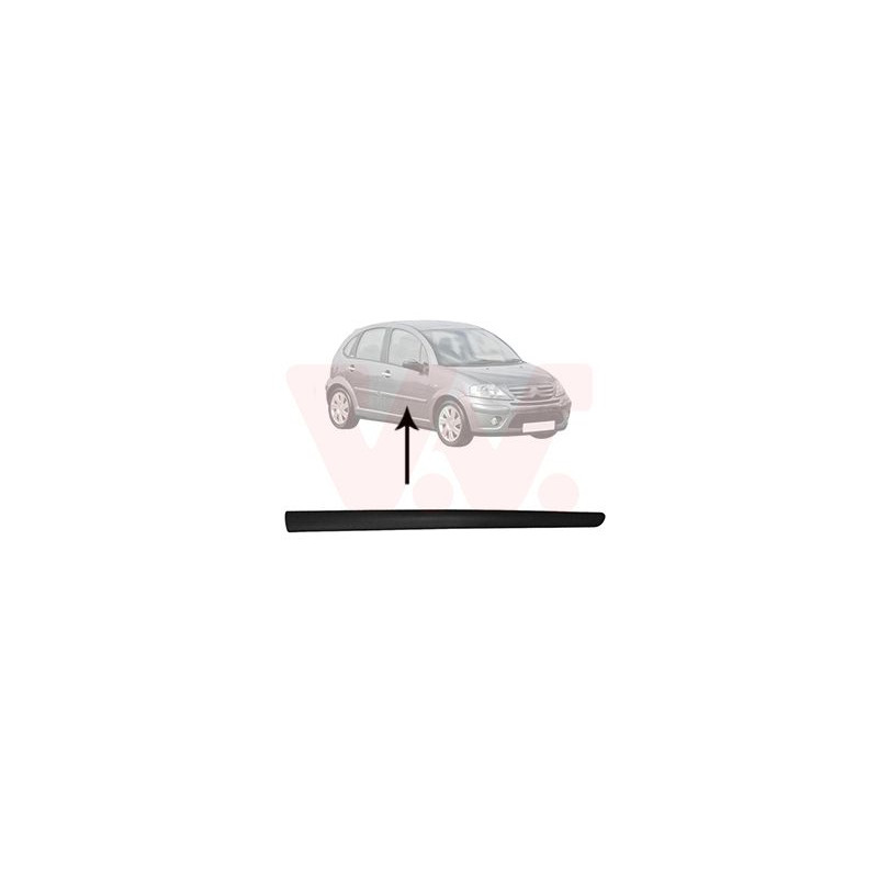 Moulure porte avant droite (pour véhicule 4-5 portes)