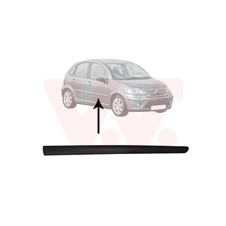 Moulure porte avant droite (pour véhicule 4-5 portes)