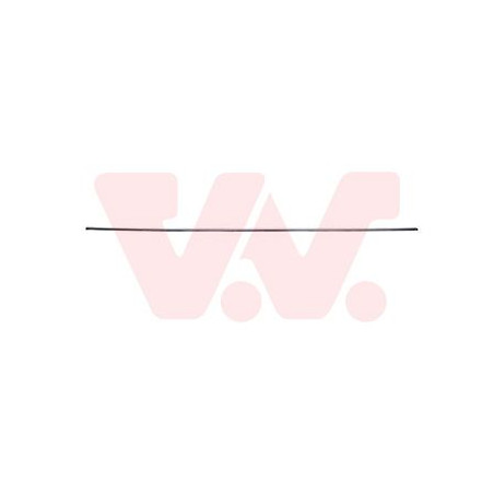 Moulure porte avant gauche