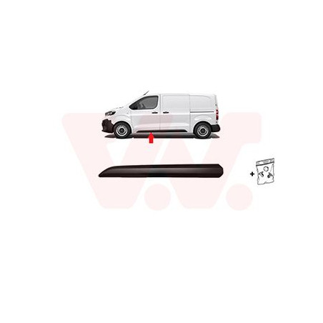 Moulure porte avant gauche noir