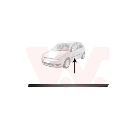 Moulure porte avant gauche (pour véhicule 4-5 portes)