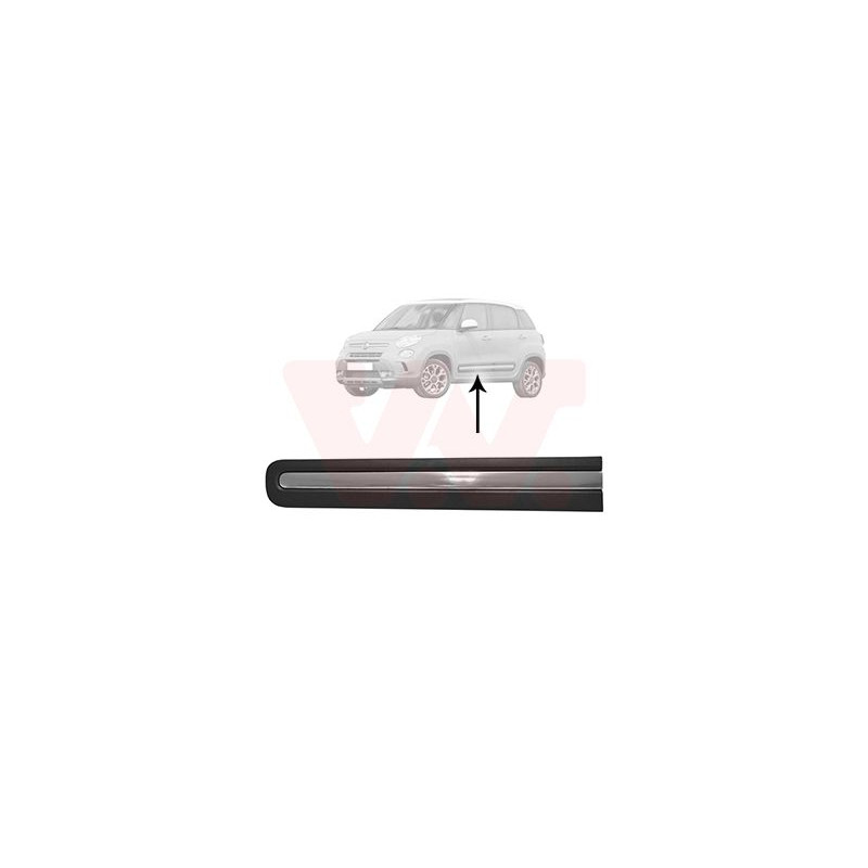 Moulure porte avant gauche (pour véhicule 4-5 portes)