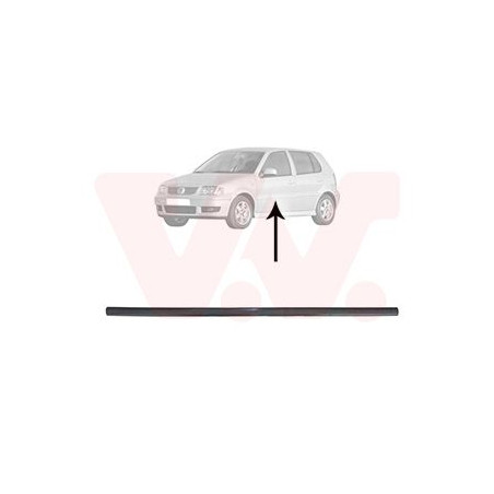 Moulure porte avant gauche (pour véhicule 4-5 portes)