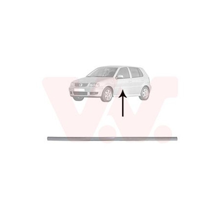 Moulure porte avant gauche (pour véhicule 4-5 portes)