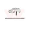 Moulure porte avant gauche (pour véhicule 4-5 portes)