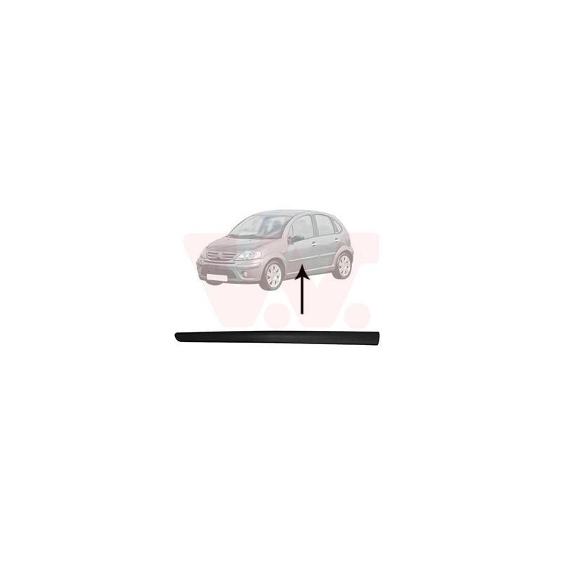 Moulure porte avant gauche (pour véhicule 4-5 portes)