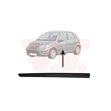 Moulure porte avant gauche (pour véhicule 4-5 portes)