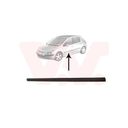Moulure porte avant gauche (pour véhicule 4-5 portes)