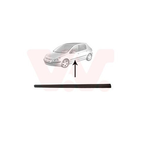 Moulure porte avant gauche (pour véhicule 4-5 portes)