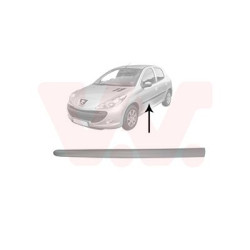 Moulure porte avant gauche (pour véhicule 4-5 portes)