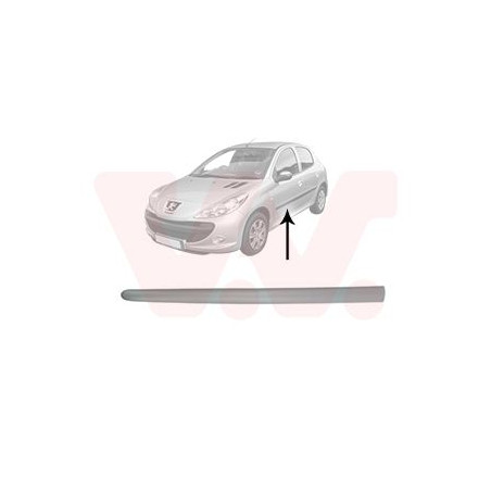 Moulure porte avant gauche (pour véhicule 4-5 portes)
