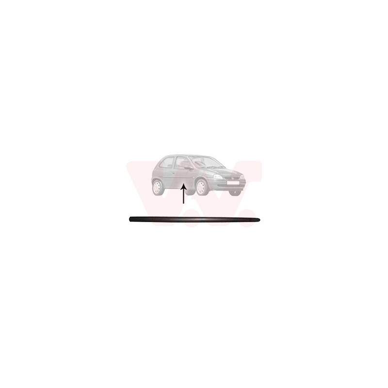 Moulure porte droite (pour véhicule 2-3 portes)