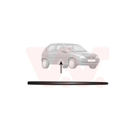 Moulure porte droite (pour véhicule 2-3 portes)