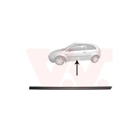 Moulure porte gauche (pour véhicule 2-3 portes)