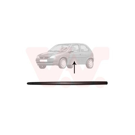 Moulure porte gauche (pour véhicule 2-3 portes)