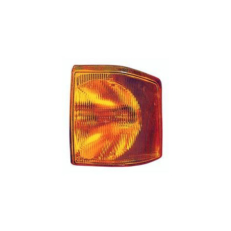 Clignoteur avant gauche