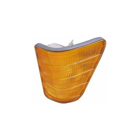 Clignoteur avant gauche