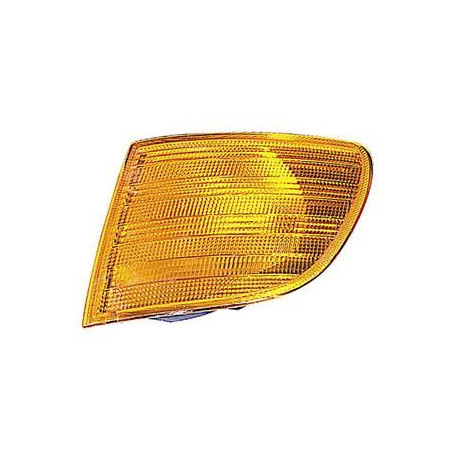 Clignoteur avant gauche