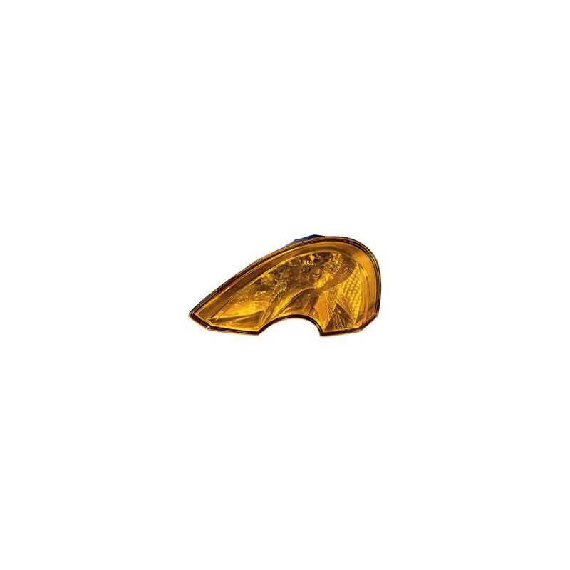 Clignoteur avant gauche