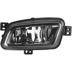 Feu anti brouillard gauche 15  h8 wildtrack