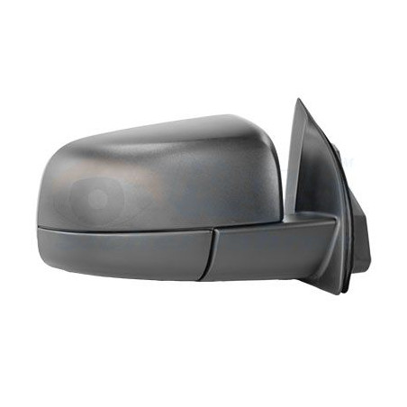 Rétroviseur complet droit