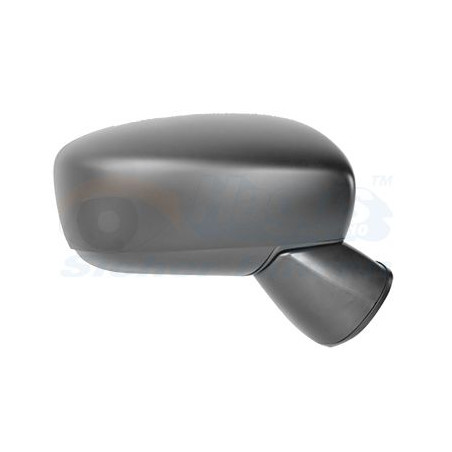 Rétroviseur complet droit